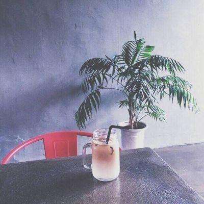 战争与帝国手游下载