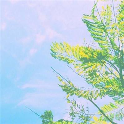 k8游戏盒子最新版下载