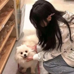 复古乐园手机版下载